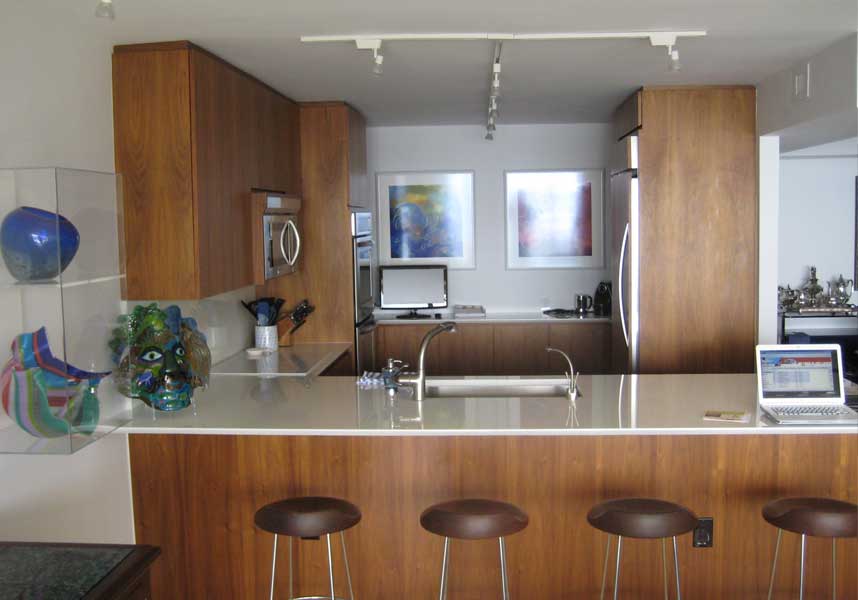 Coconut Grove Condo